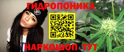 ALPHA PVP Славгород