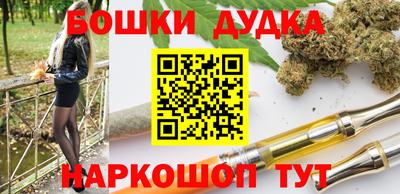 ешки Сланцы
