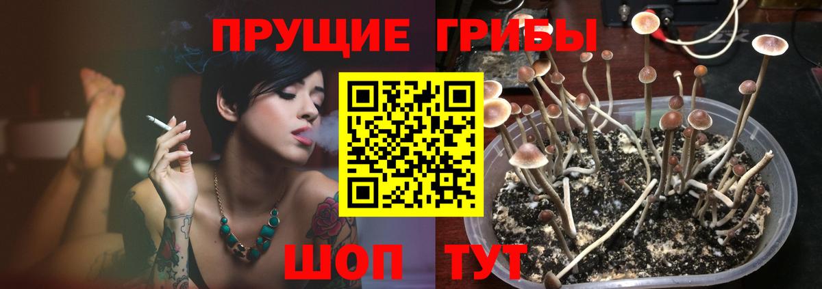 Галлюциногенные грибы ЛСД Узловая